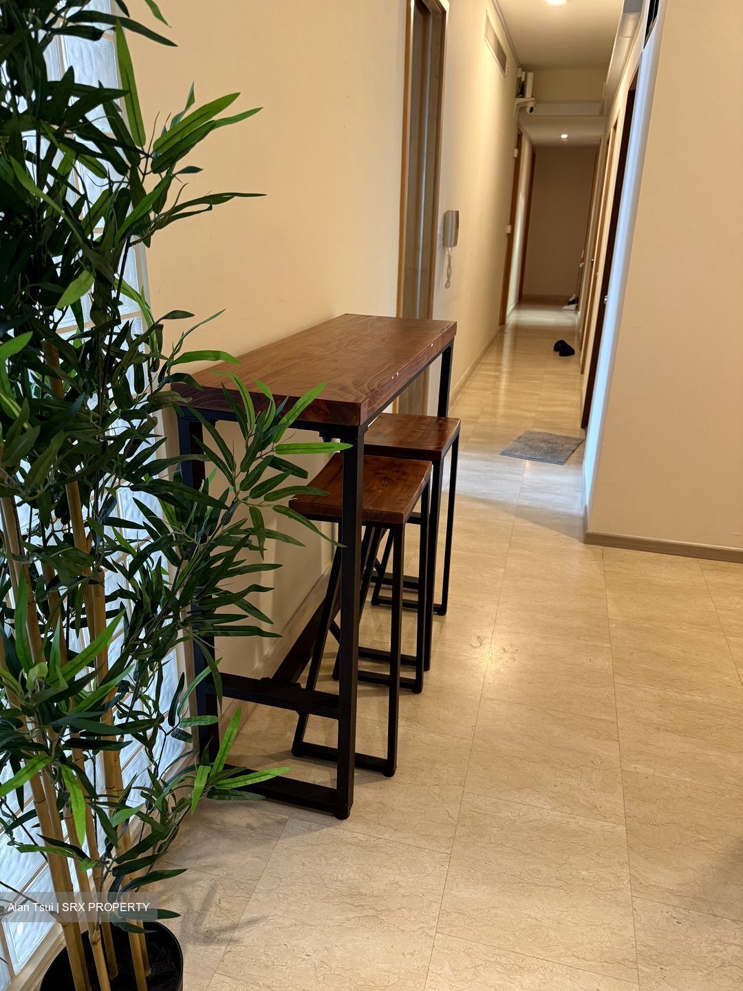 Amaryllis Ville (D11), Condominium #582398481